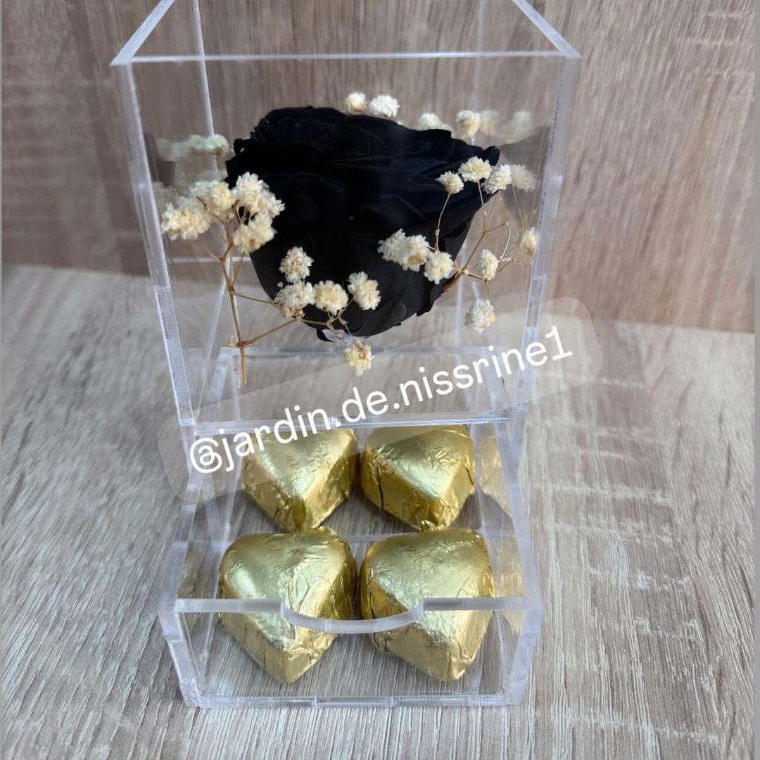Rose éternelle noir + chocolat C