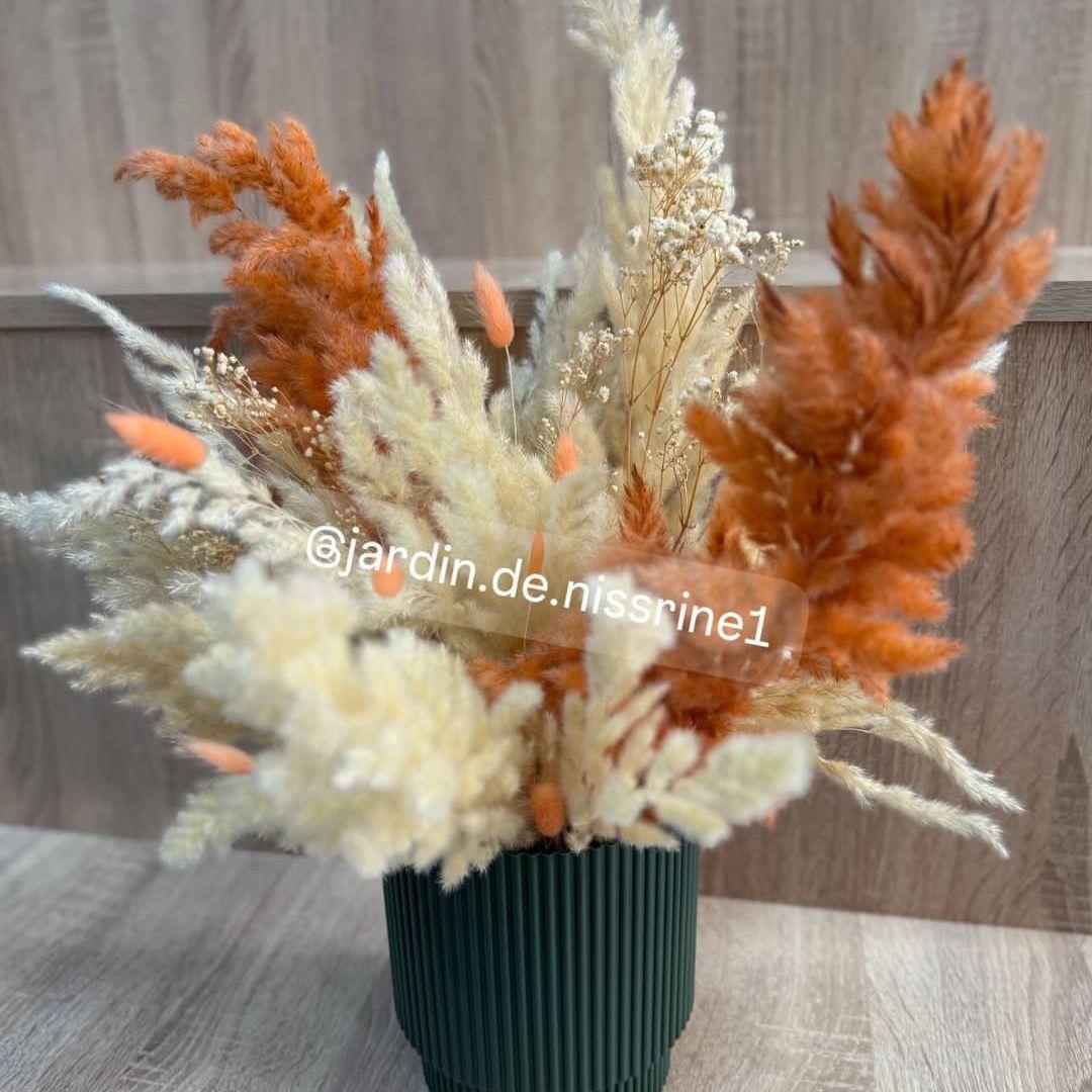 Arrangement Séchée