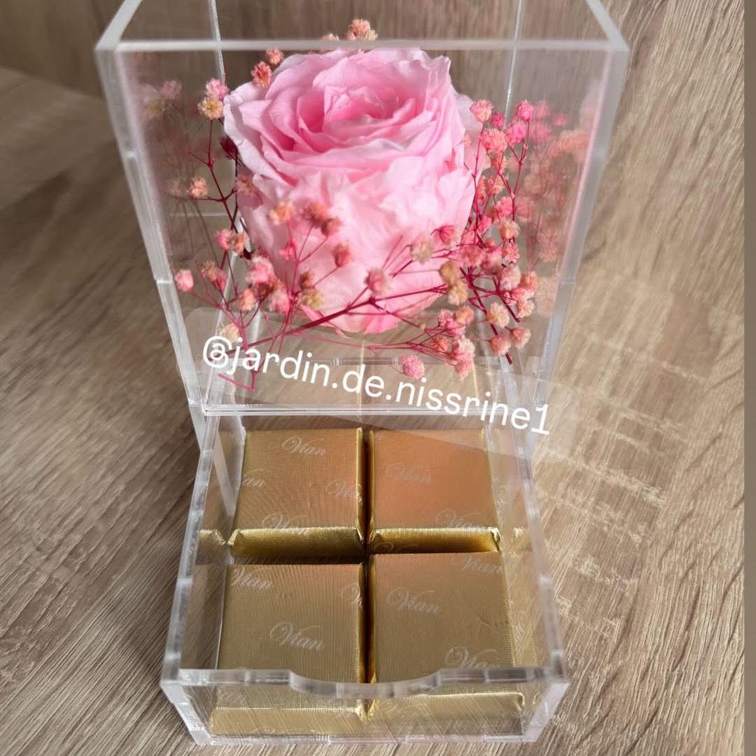 Rose éternelle + chocolat A