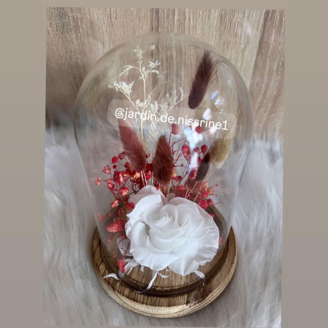 Rose éternelle Avec fleurs séchée F