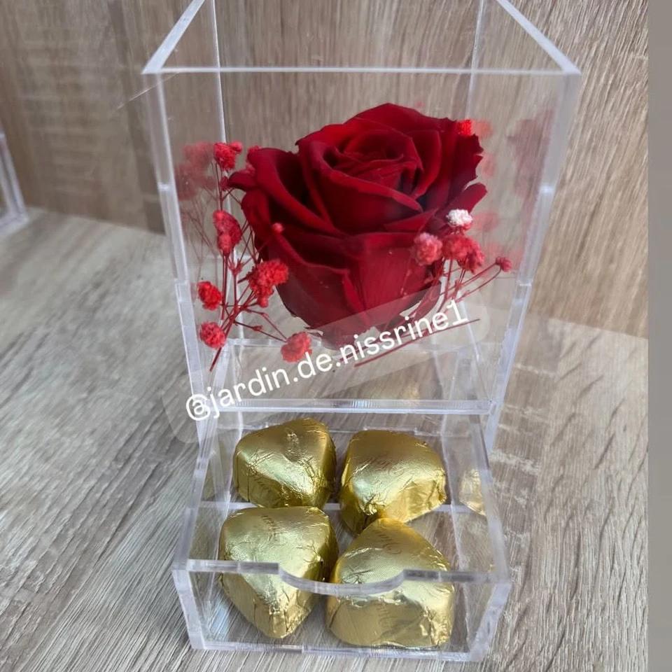 Rose éternelle rouge + chocolat D