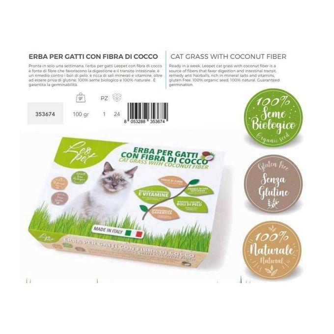 Herbe à chat leopet avec fibre de coco