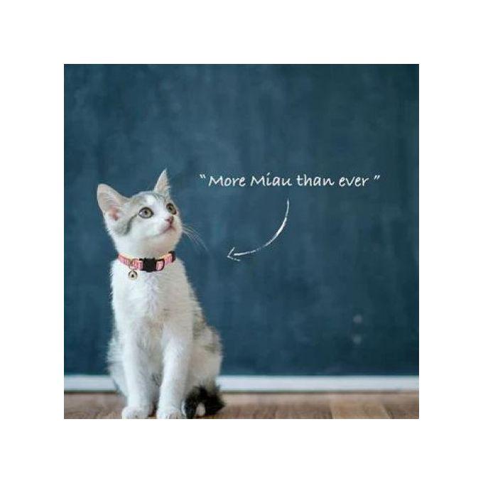 Biozoo felix blue cat collar designer biozoo pour chat