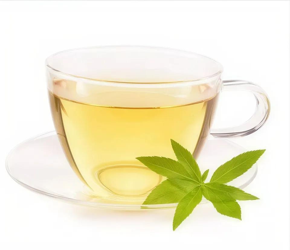 Verveine