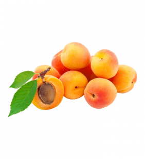 Abricot A