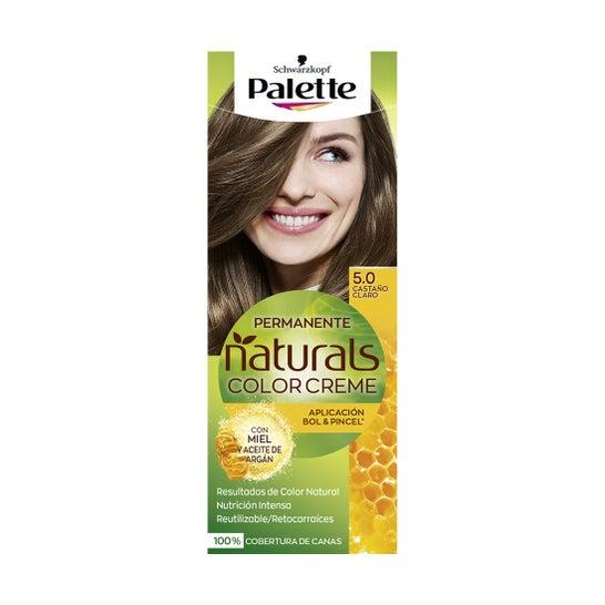 Palette Kit Color N5-0