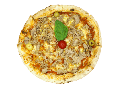 Tuna Pizza