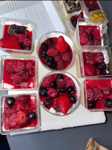 Panna Cotta Fruits Rouges