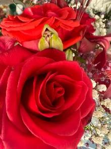 Fleur simple ROUGE