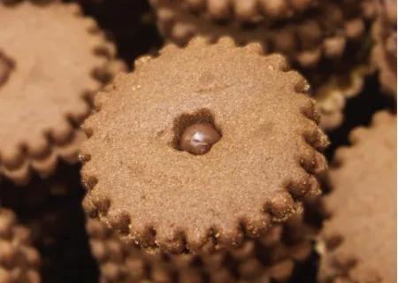 Sablé Chocolat (100g)