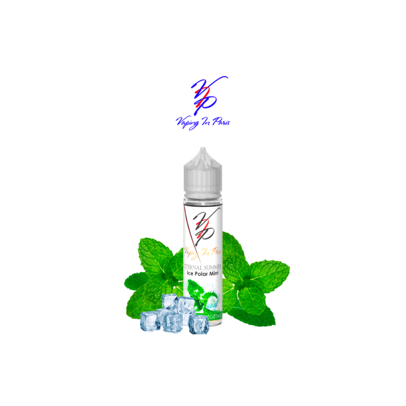 Ice Polar Mint 50ml Vaping In Paris