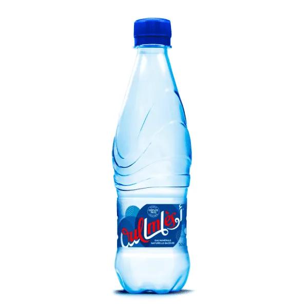 Eau Gazeuse 1 l