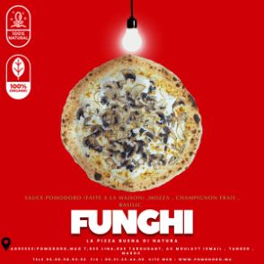 Pizza Funghi