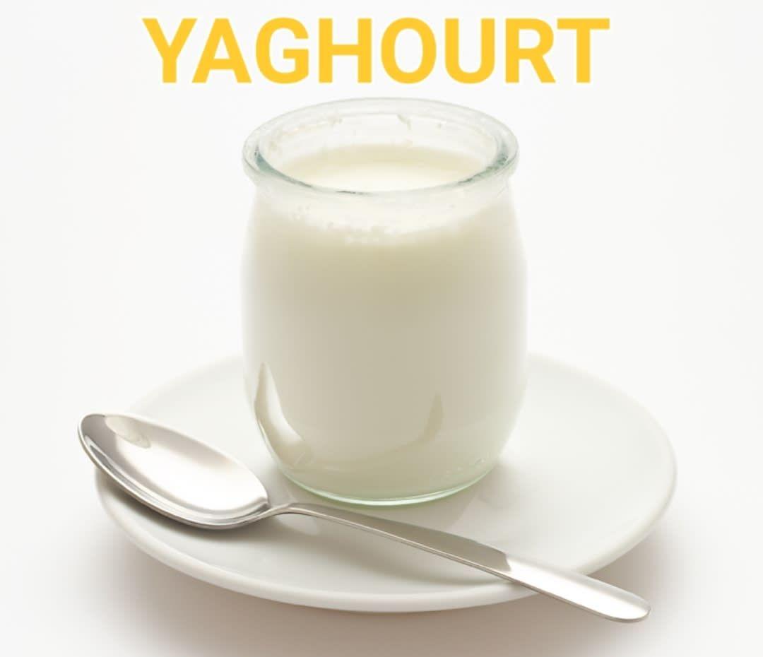 Yaourt Maison
