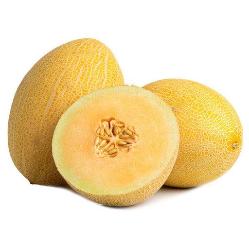Melon