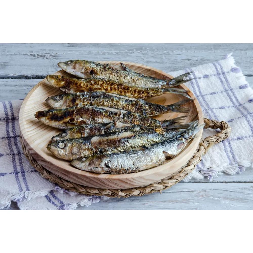Sardine