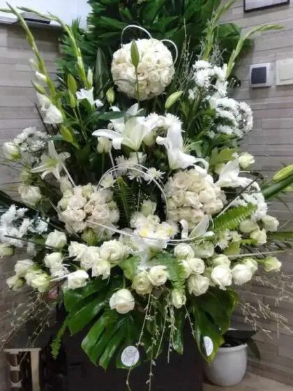 Rêve en Blanc