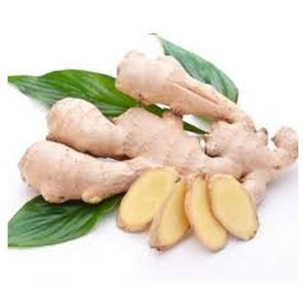 GINGEMBRE - سكينجبير - (KG)