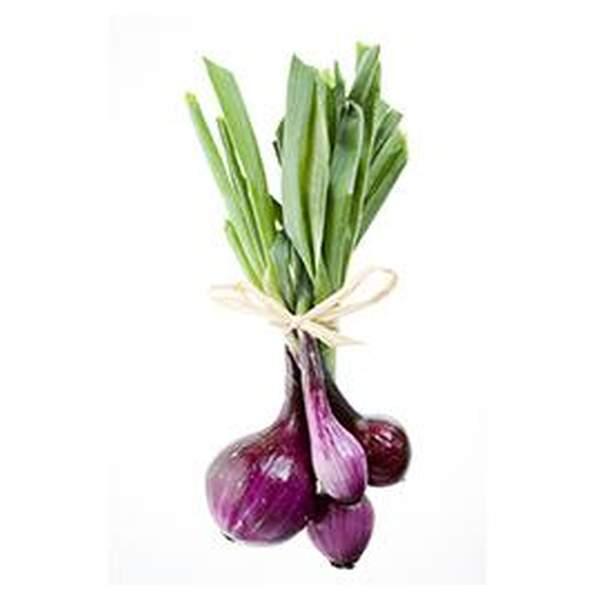 OIGNONS BLANCHE - بصلة خضارية - (KG)