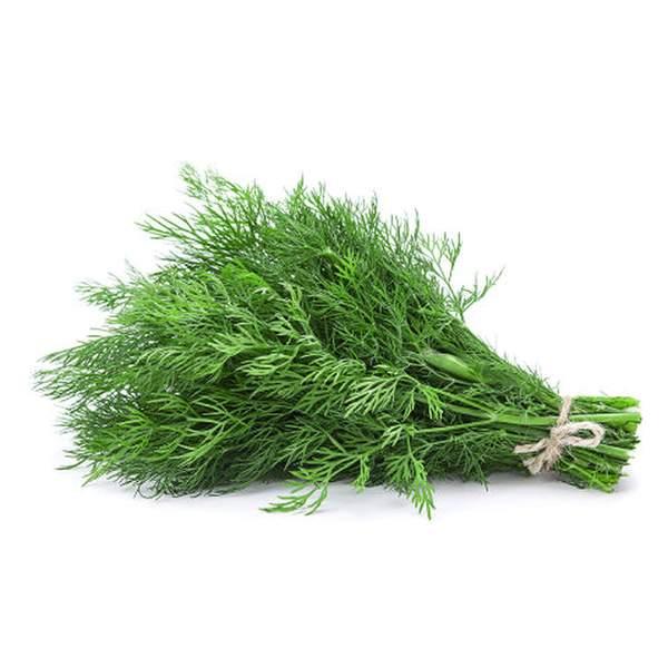 ANETH - الشبت - (U)