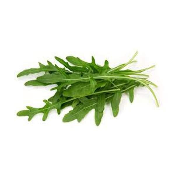 ROQUETTE - الجرجير - (U)