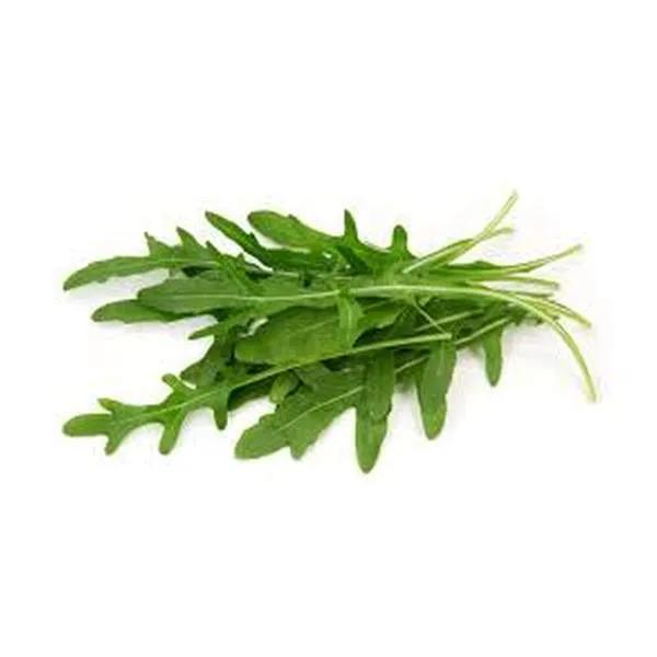ROQUETTE - الجرجير - (U)