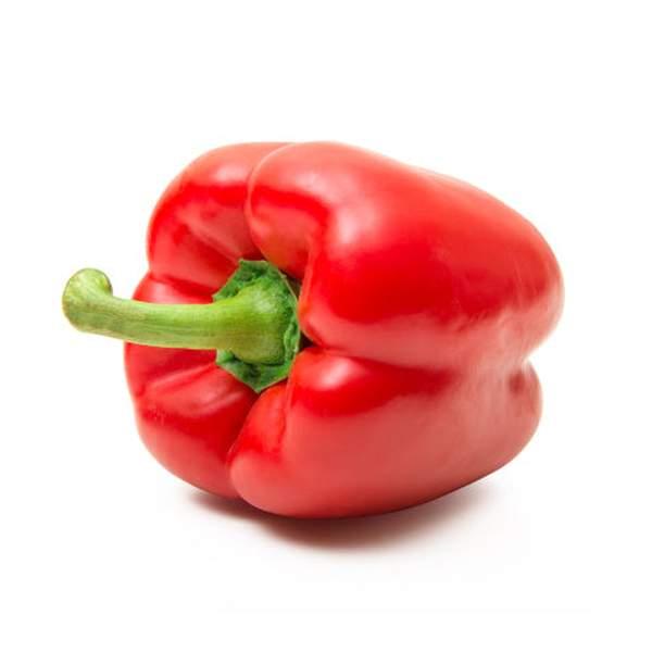 POIVRON ROUGE DRAGO - فلفل أحمر - (KG)