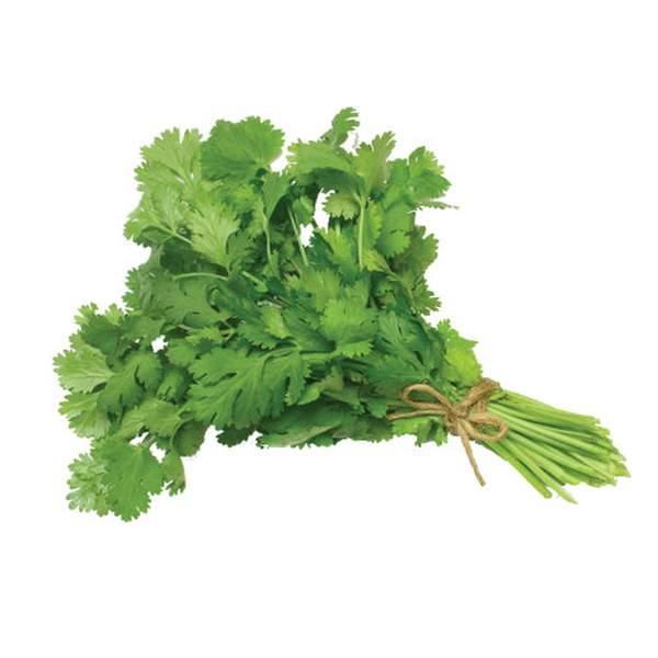 CORIANDRE - القزبر - (U)