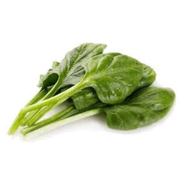 EPINARD - سبانخ