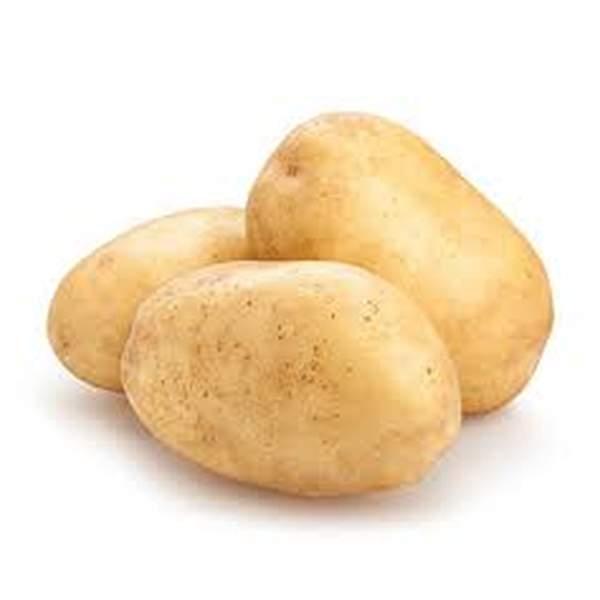 POMME DE TERRE BLANCHE - بطاطة بيضاء - (KG)