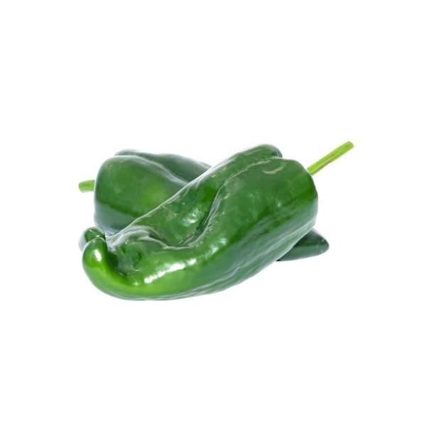 POIVRON VERT - فلفل أخضر - (KG)