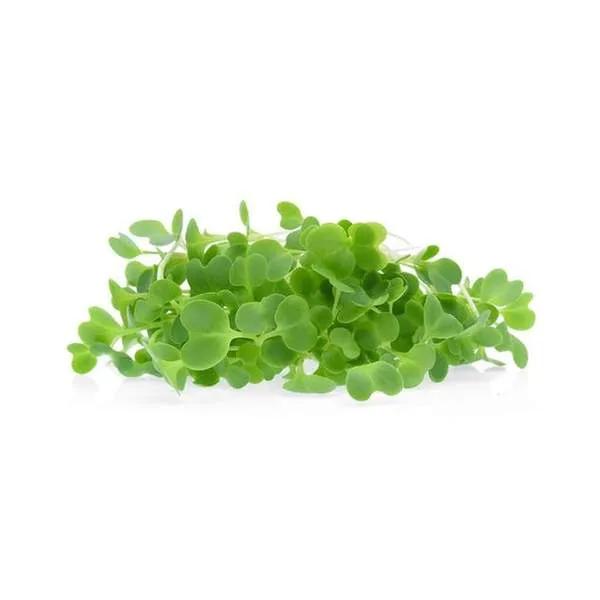 MICRO POUSSE BARQUET - خضرة صغيرة في علبة - (U)