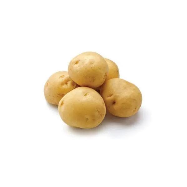 POMME DE TERRE NOUVELLE - بطاطة صغيرة - (KG)