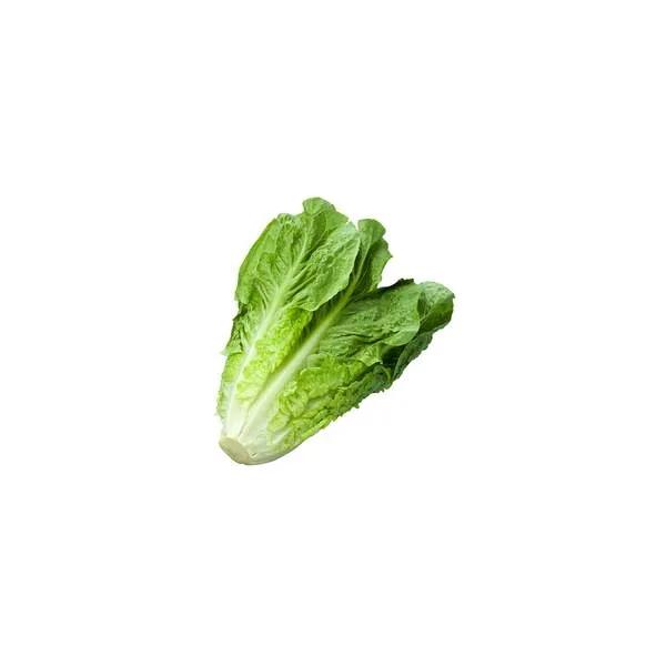 LAITUE ROMAINE - خس روماني - (U)