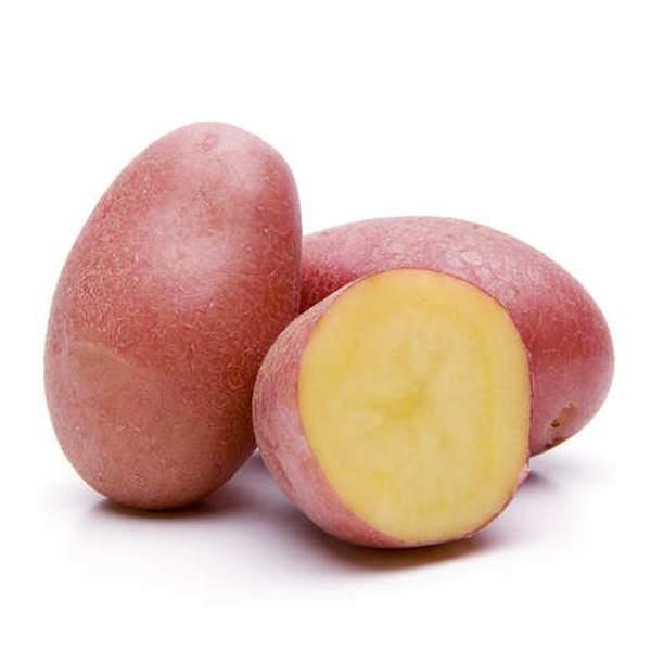 POMME DE TERRE ROUGE - البطاطس الحمراء - (KG)