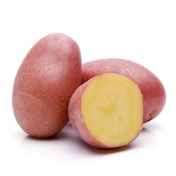 POMME DE TERRE ROUGE - البطاطس الحمراء - (KG)