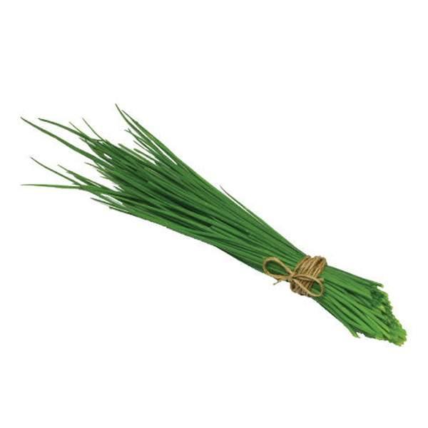 CIBOULETTE - الثوم القصبي - (U)