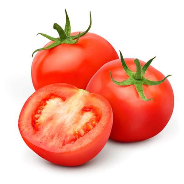 TOMATE - مطيشة - (KG)