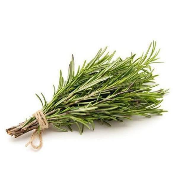 ROMARIN - أزير - (U)