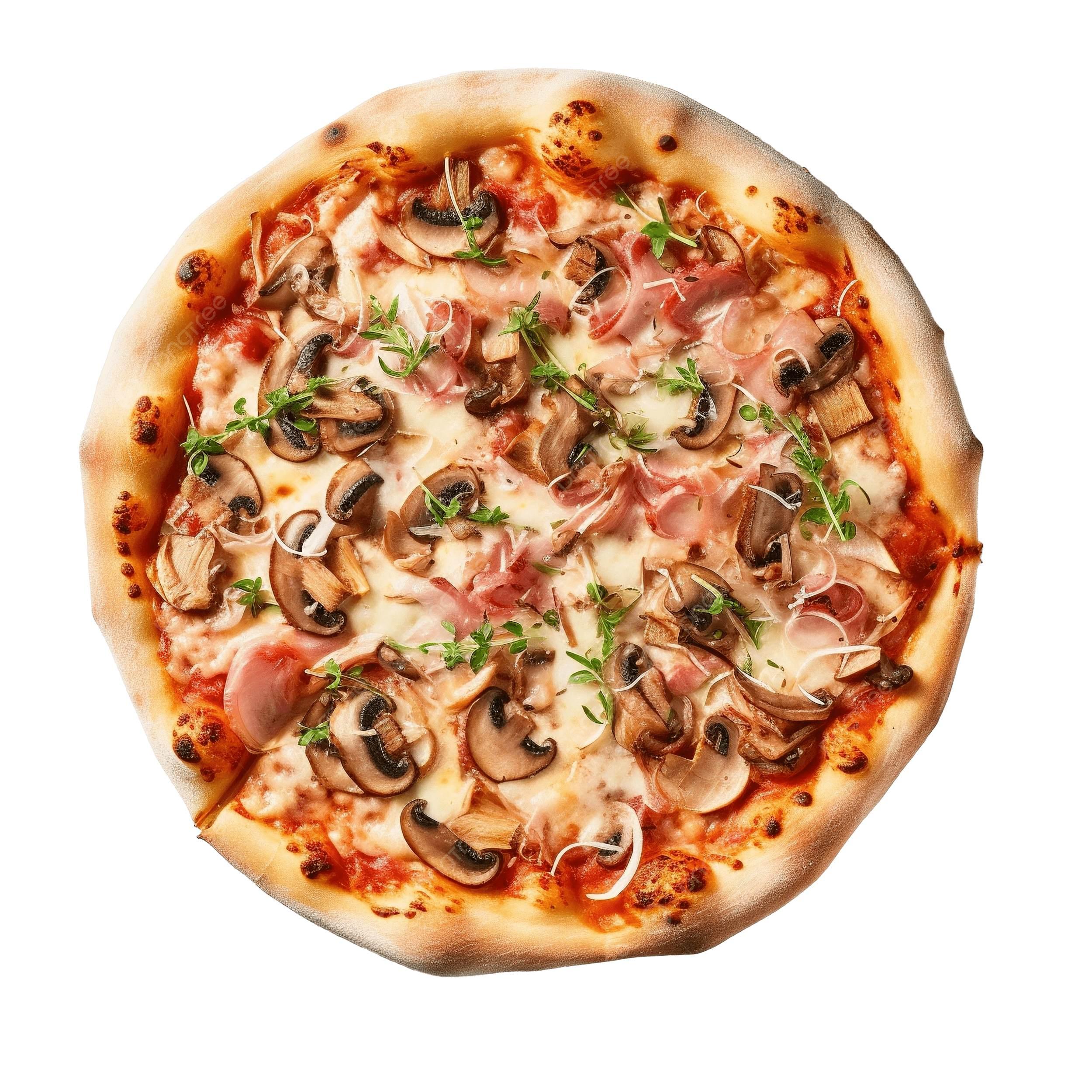 Pizza Champignon