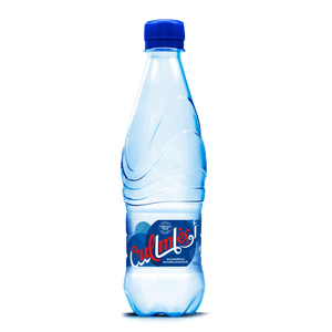 Oulmes 0.5l Bouteille