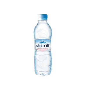 Sidi Ali 0.5l Bouteille