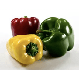 Poivrons frais