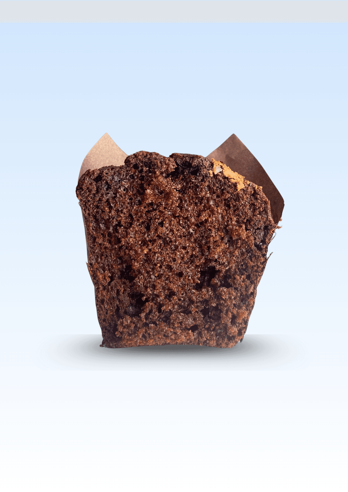 Muffin Chocolat