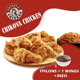 1 Pilon + 2 wings + 2 strips et Rizo