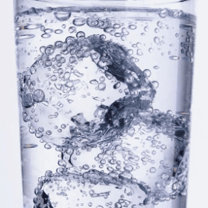 Eau ou Gazéifiée  1l