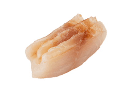 Sashimi Daurade