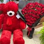 70 Roses Rouges Avec Grand Nounours