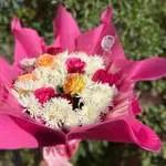 Bouquet Rosé
