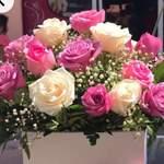 Box Mélange De Rose Et Blanc